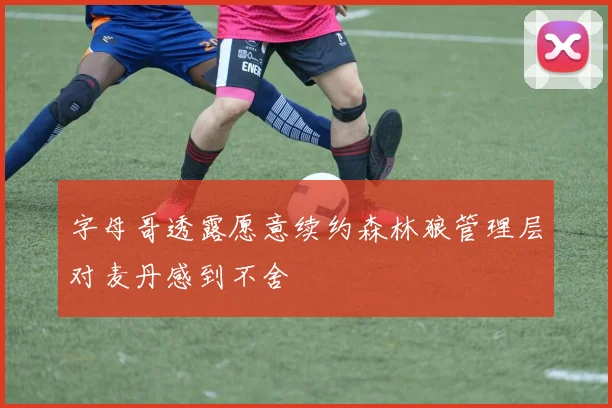 字母哥透露愿意续约森林狼管理层对麦丹感到不舍