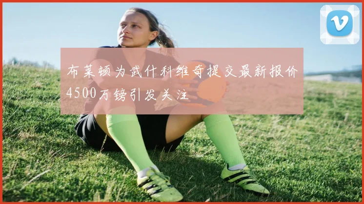 布莱顿为武什科维奇提交最新报价4500万镑引发关注